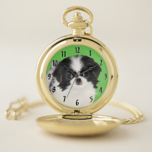 Japanese Chin Puppy Painting - Dog Art Pocket Watch