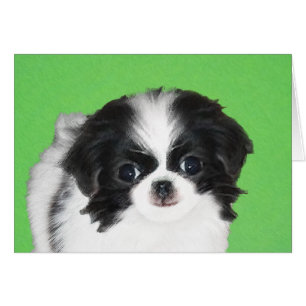 Japanese Chin Puppy Painting - Original Dog Art Cards