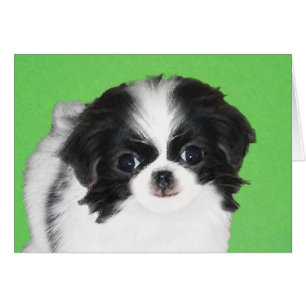 Japanese Chin Puppy Painting - Original Dog Art Cards