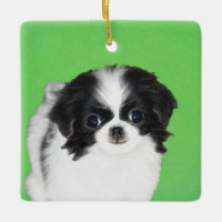Japanese Chin Puppy Painting - Original Dog Art