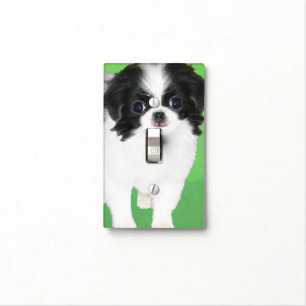 Japanese Chin Puppy Painting - Original Dog Art Light Switch Cover