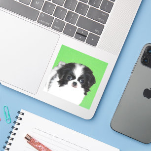 Japanese Chin Puppy Painting - Original Dog Art Sticker