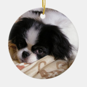 Japanese_chin puppy.png ceramic ornament