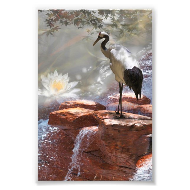 Japanese Crane “Longevity” Photo Print (Front)