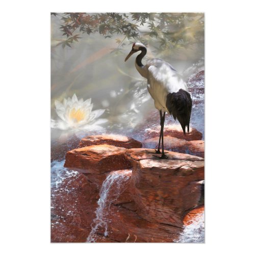 Japanese Crane Longevity Photo Print