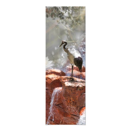 Japanese Crane Longevity Photo Print