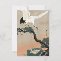 Japanese Crane on Branch of Pine by Ohara Koson