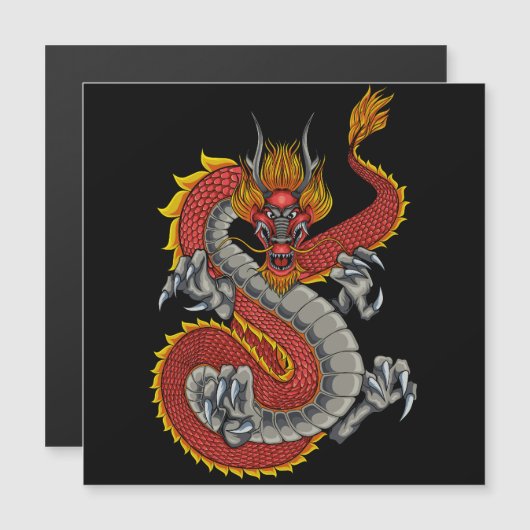 japanese dragon illustration (Front/Back)