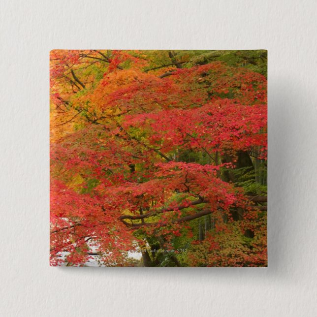Japanese Fall Foliage Pinback Button (Front)