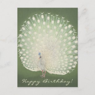 Japanese Fine Art | Peacock | Birthday Postcard