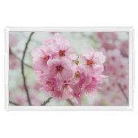 Japanese Flower, Pink Cherry Blossom