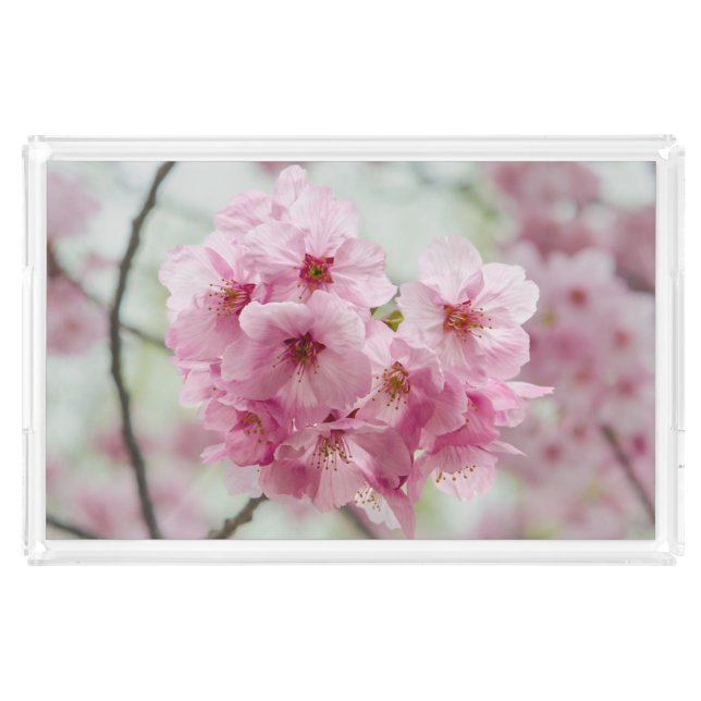 Japanese Flower, Pink Cherry Blossom Acrylic Tray (Front)