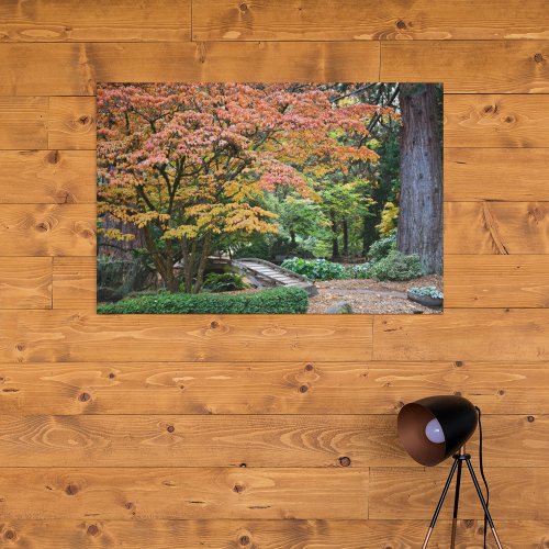 Japanese Garden Autumn Leaf Color Photo Canvas Print