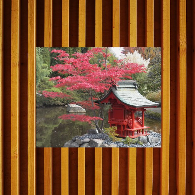 Japanese Garden Autumn Scene Acrylic Print (In Situ)