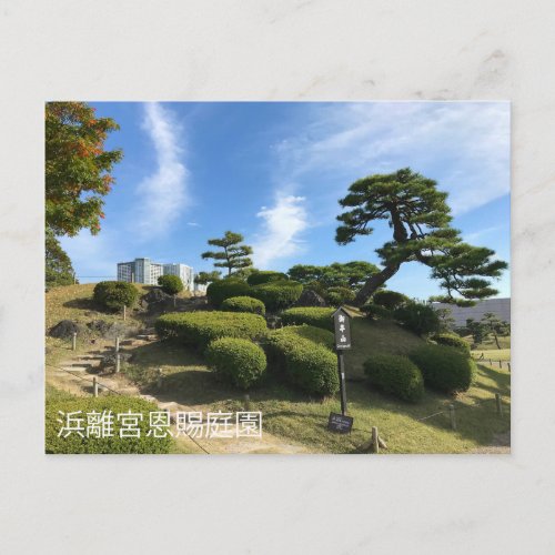 Japanese Garden Hill Postcard