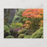 Japanese Garden In Autumn Postcard at Zazzle