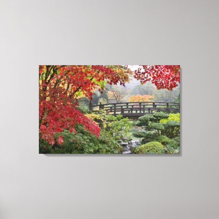 Japanese Garden In Fall Stretched Canvas Print