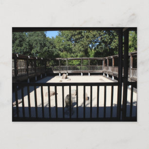 Japanese Garden in Fort Worth Texas # 54 Postcard