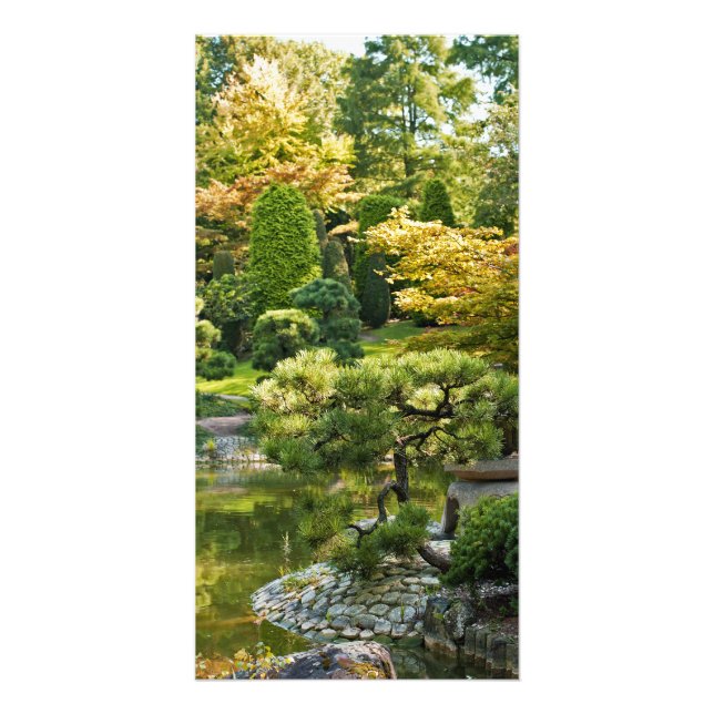 Japanese Garden  Photo Card (Front)