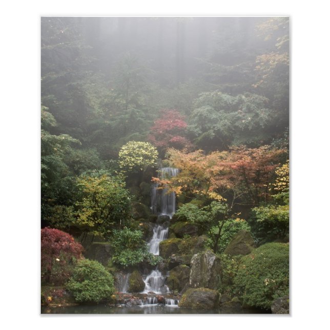 Japanese Garden Photo Enlargement Print (Front)