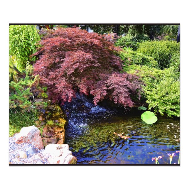 Japanese Garden waterfall Photo Print (Front)