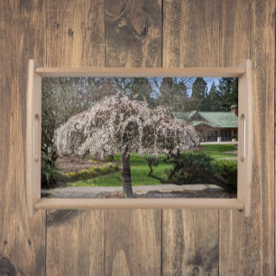 Japanese Garden Weeping Cherry Blossoms Serving Tray