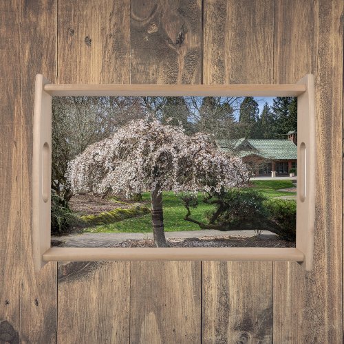 Japanese Garden Weeping Cherry Blossoms Serving Tray