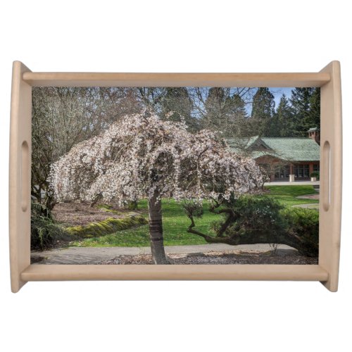Japanese Garden Weeping Cherry Tree Photo Serving Tray
