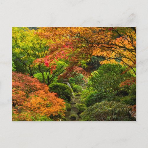 Japanese Gardens In Autumn In Portland Oregon 2 Postcard