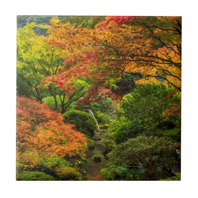 Japanese Gardens In Autumn In Portland, Oregon 2 Tile (Front)