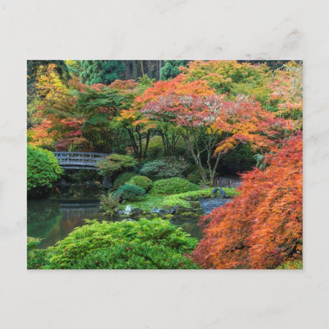 Japanese Gardens In Autumn In Portland, Oregon 3 Postcard (Front)