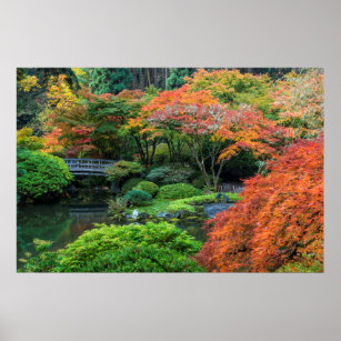 Japanese Gardens In Autumn In Portland, Oregon 3 Poster