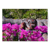 Japanese gargoyle (Front Horizontal)