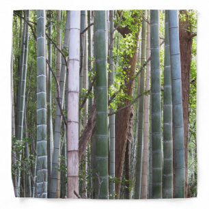 Japanese Giant Bamboo Forest, Sagano, Kyoto, Japan Bandana