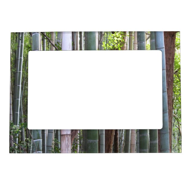 Japanese Giant Bamboo Forest, Sagano, Kyoto, Japan Magnetic Picture Frame (Front)