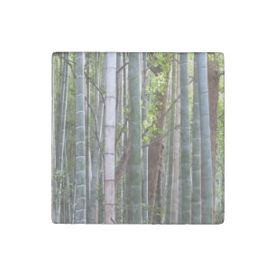 Japanese Giant Bamboo Forest, Sagano, Kyoto, Japan Stone Magnet