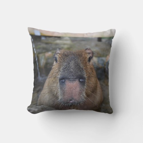 Japanese Hot Spring Capybara Throw Pillow