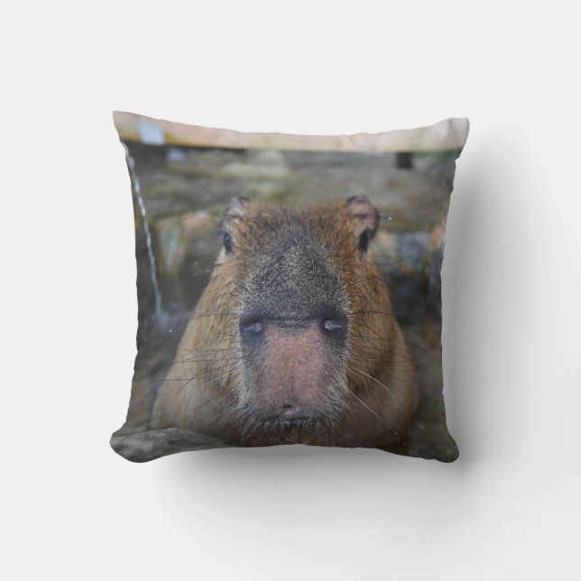 Japanese Hot Spring Capybara Throw Pillow (Front)