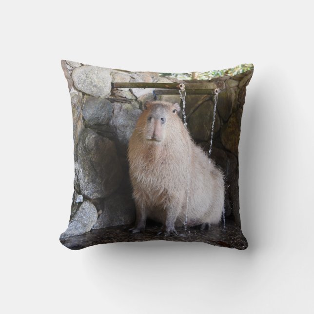 Japanese Hot Spring Capybara Throw Pillow (Front)
