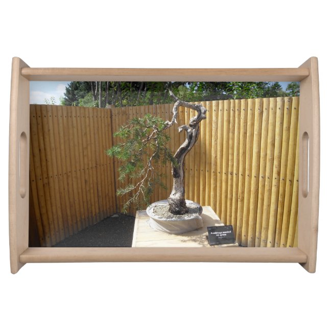 Japanese Ikebana Tea Serving Tray (Front)