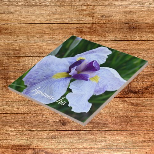 Japanese Iris Bloom Floral Ceramic Tile