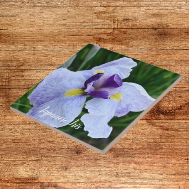 Japanese Iris Bloom Floral Ceramic Tile (In Situ)