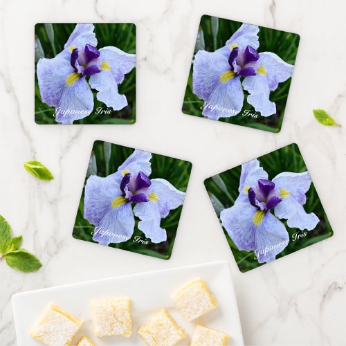 Japanese Iris Bloom Floral Coaster Set