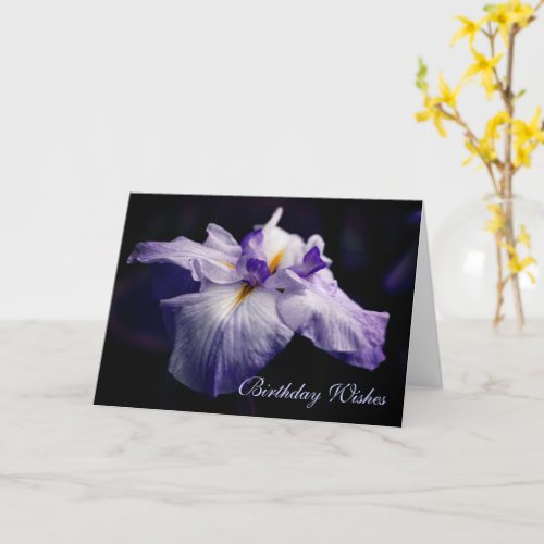 Japanese Iris Flower Beauty Birthday  Card