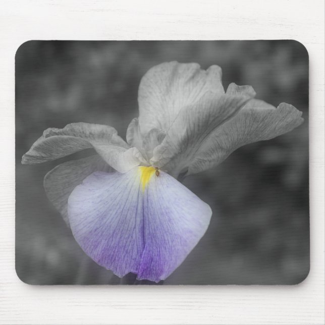 Japanese Iris Flower Black White Mousepad (Front)