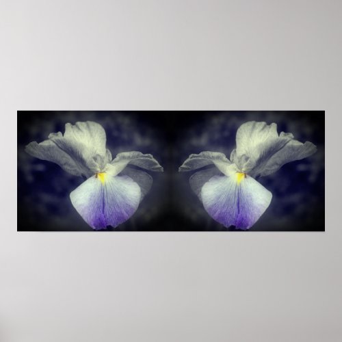 Japanese Iris Flower Partial Color Mirror Abstract Poster