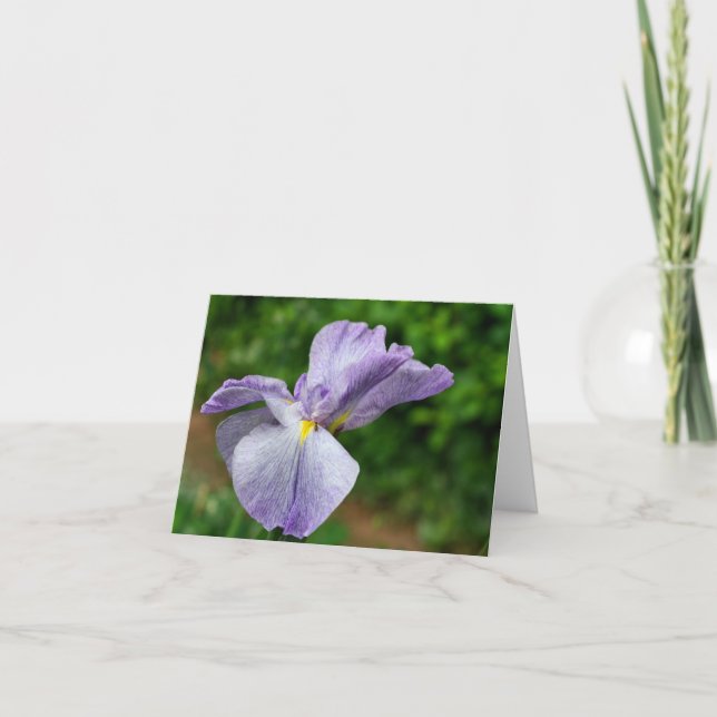 Japanese Iris Unfolding Flower Photography  Note Card (Front)