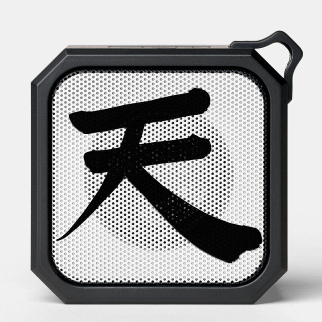 Japanese Kanji “Sky/Heaven” Speaker (Front)