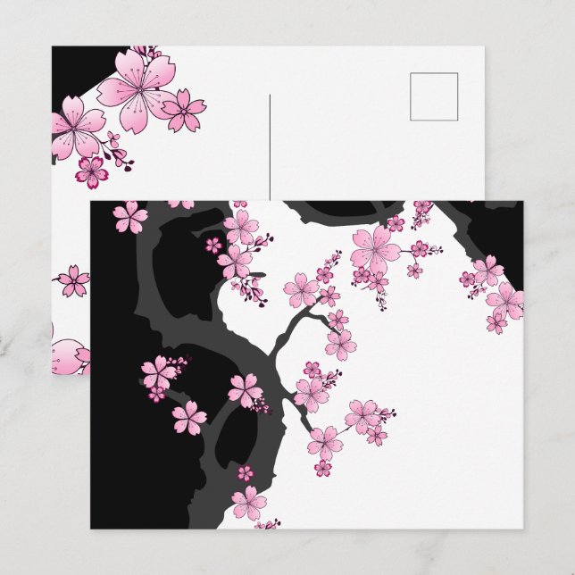 Japanese Kimono Black and White Pink Sakura Postcard (Front/Back)