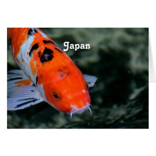 Japanese Koi Cards (Front Horizontal)
